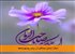 نماز؛ سدی محکم در برابر وسوسه‌ها